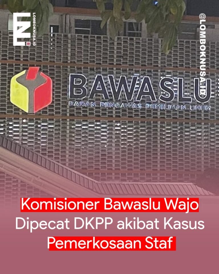 WhatsApp Image 2025-11-25 at 16.40.53