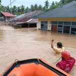 WhatsApp Image 2025-12-02 at 19.09.36