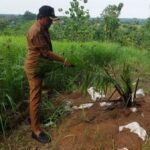 kepala-desa-cigobang-m-abdul-zei-saat-menunjukan-tanaman-sawit-yang-ditanam-ilegal-1766999755350_169